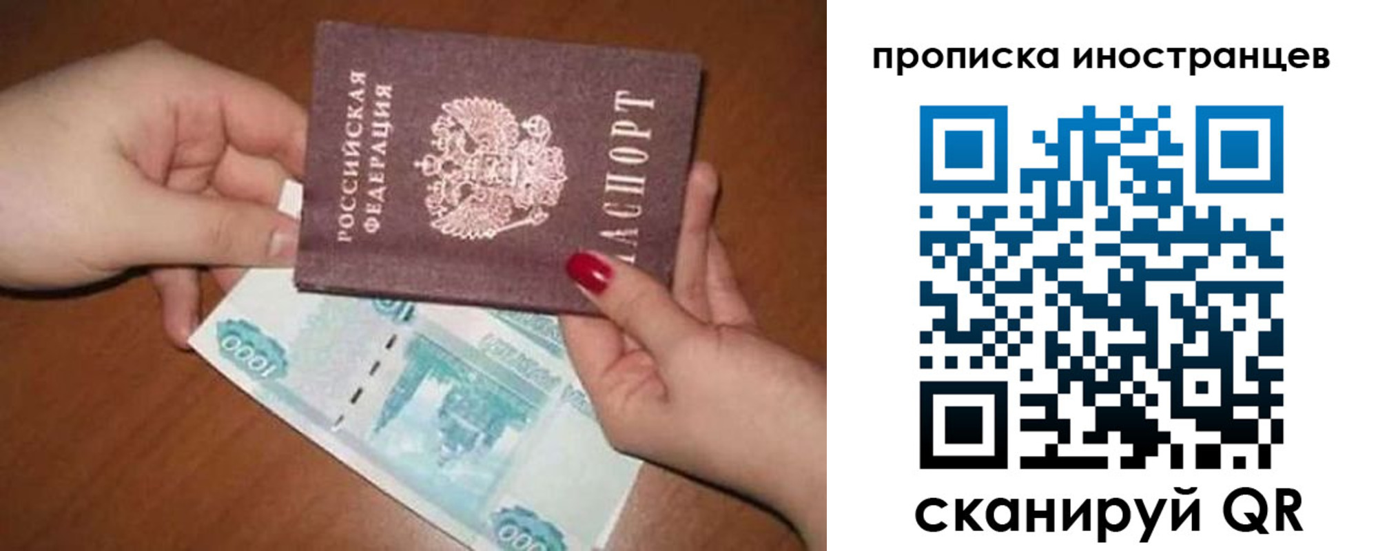 найти адрес прописки в Елизово